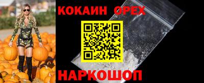 крисы Славгород