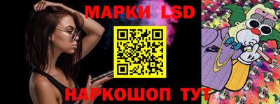 крисы Славгород