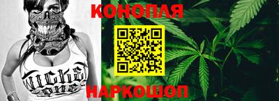 крисы Славгород