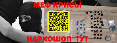 крисы Славгород