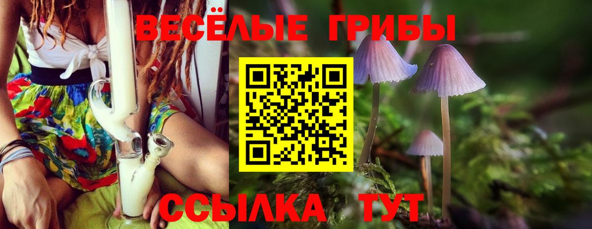 Татарск  Псилоцибиновые грибы Magic Shrooms  продажа наркотиков  Галлюциногенные грибы мухоморы  Вход с VPN 