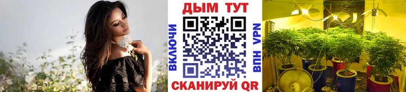 МАРИХУАНА план  Татарск 